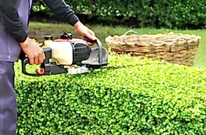 service-single-2 service-single-2