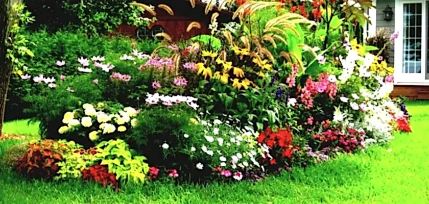 Bahçede bakımı kolay olan bitkiler hangileridir